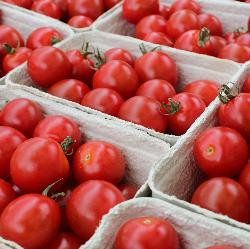 Produktfoto zu Cherrystrauchtomaten, 250g