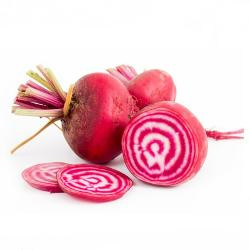 Produktfoto zu Rote Bete 'Chioggia'