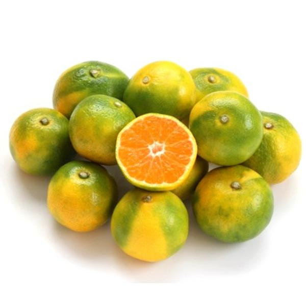 Produktfoto zu Satsumas