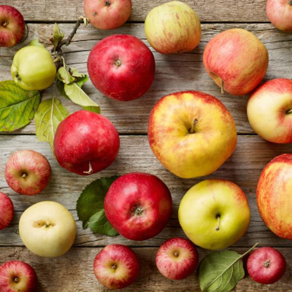 Produktfoto zu Kleine Kinderäpfel zum Snacken