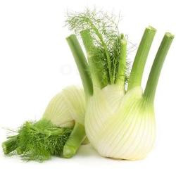 Produktfoto zu Fenchel