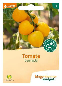 Produktfoto zu Tomate, gelb Duttingold