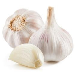 Produktfoto zu Knoblauch trocken