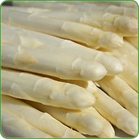 Spargel