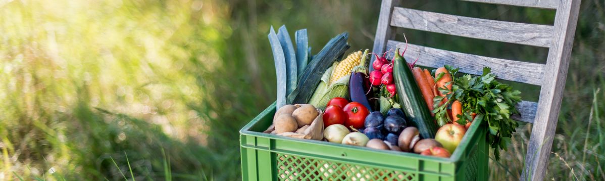 Kiste mit Obst und Gemüse