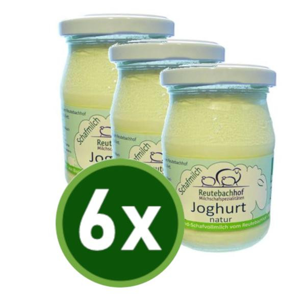 Produktfoto zu JOGHURT SCHAF Glas 6x250g, 5%