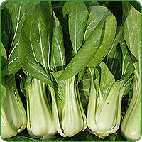 pak-choi