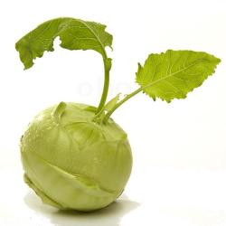 Produktfoto zu Kohlrabi Superschmelz