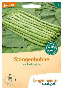 Produktfoto zu Stangenbohnen Neckarkönigin